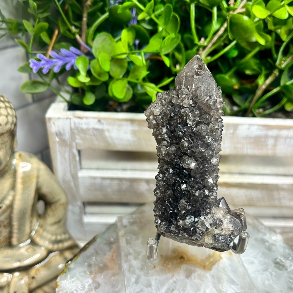 ✨SOLD✨ Black Spirit Quartz